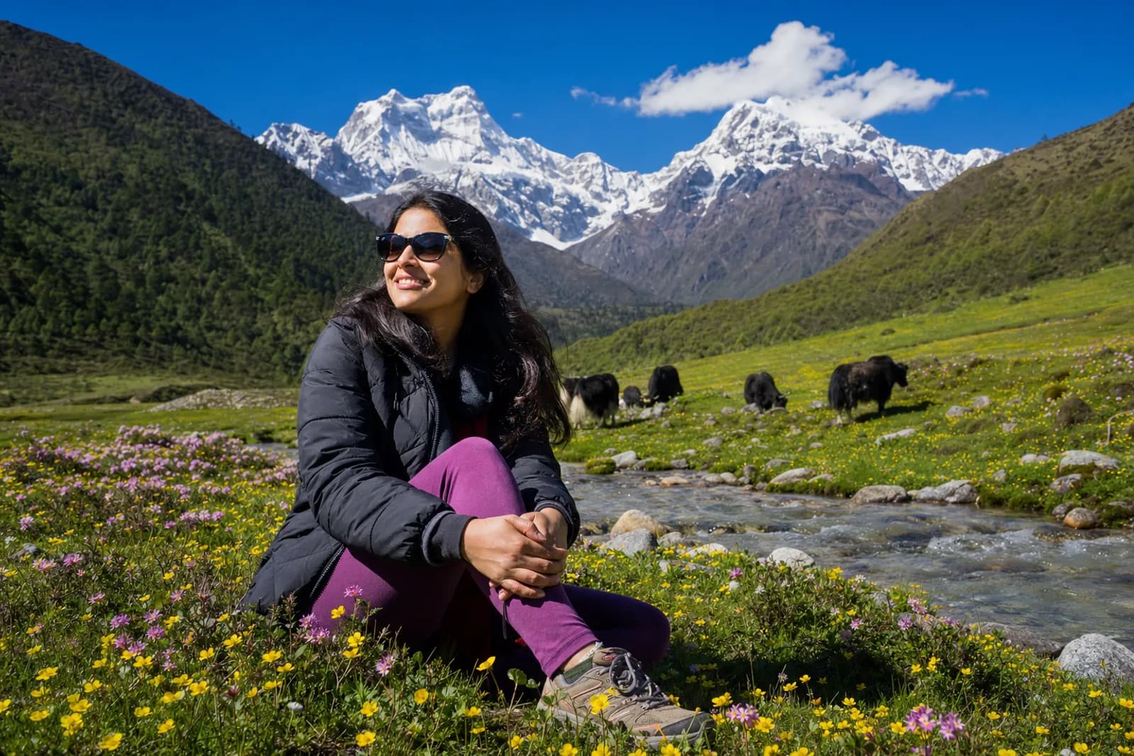 A green alpine valley in North Sikkim carpeted with wildflowers below bright snow-covered peaks