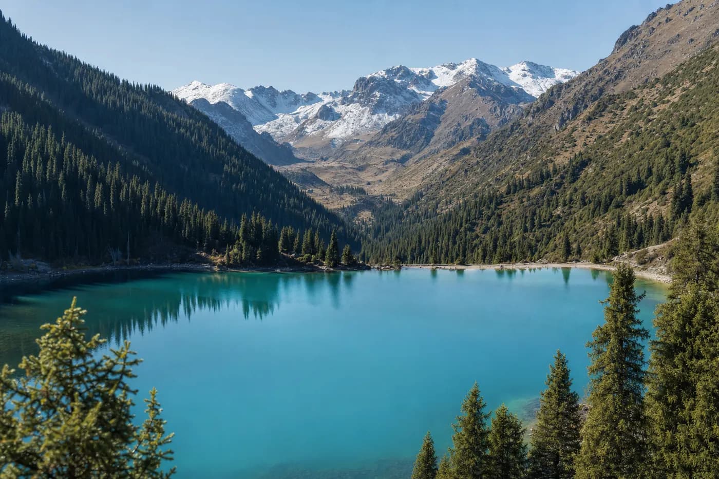 A turquoise mountain lake among spruce forest and snowy peaks