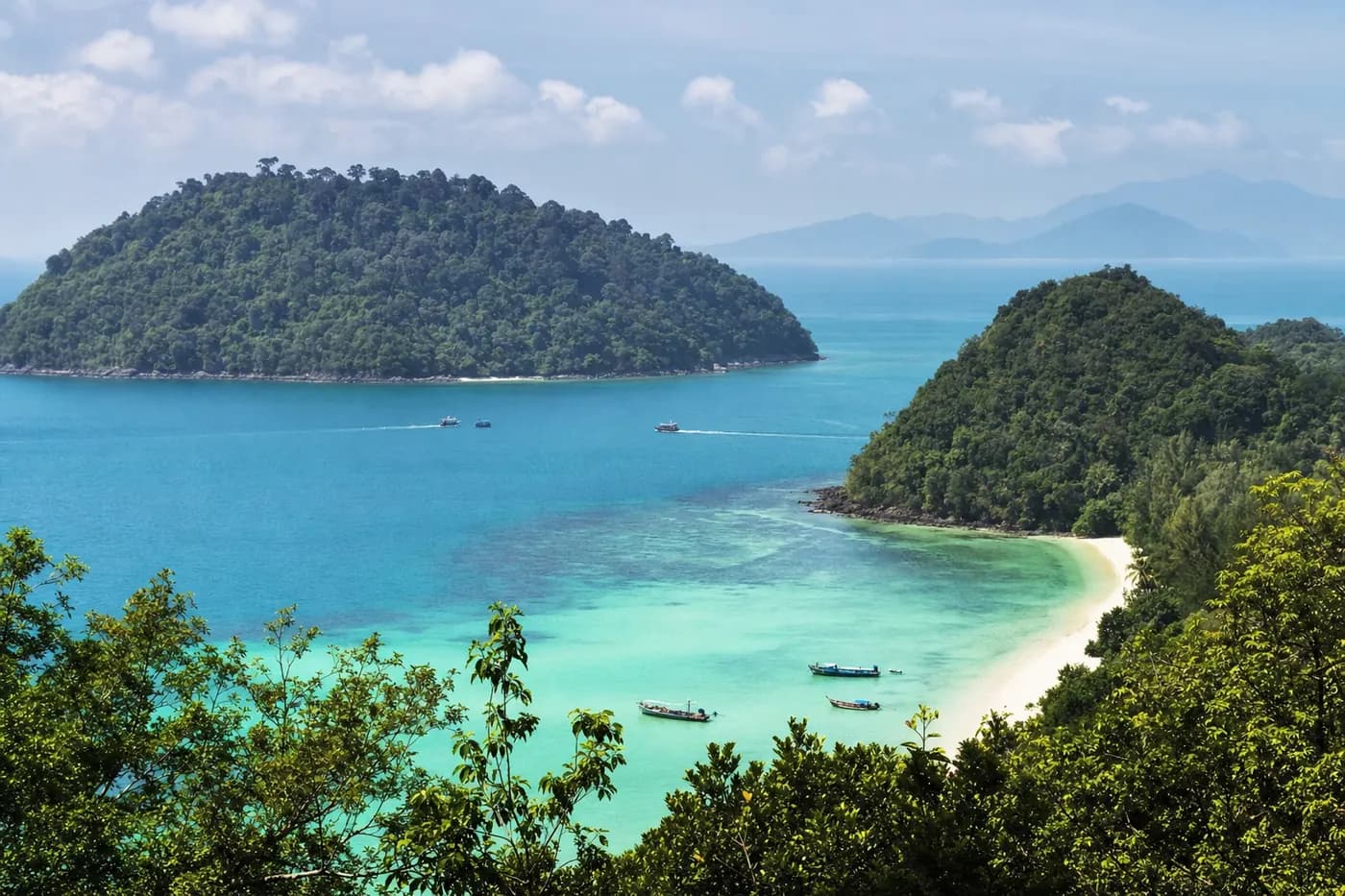 Rainforest-covered islands rising from a turquoise sea